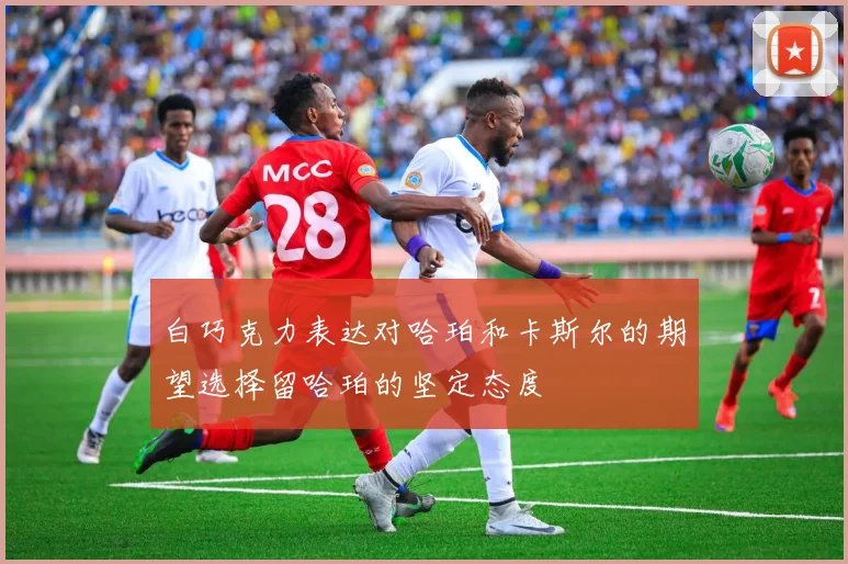 白巧克力表达对哈珀和卡斯尔的期望选择留哈珀的坚定态度